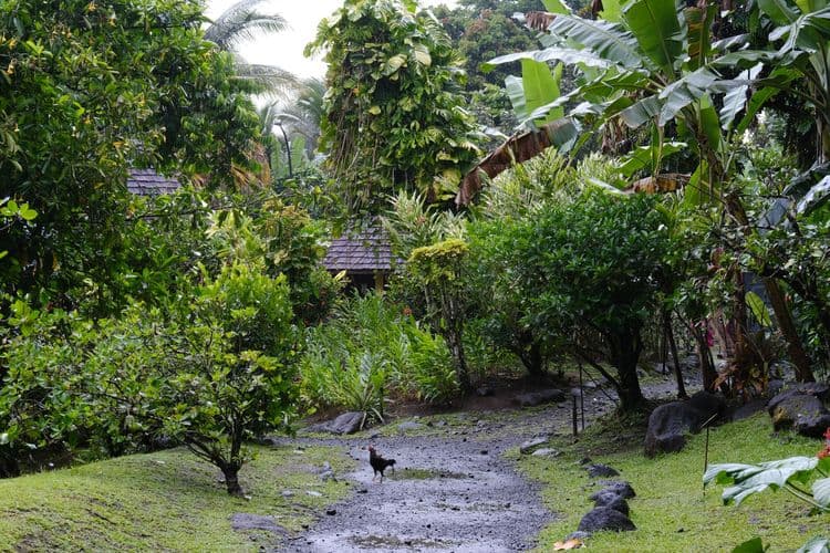 Discover Tahiti’s West Coast