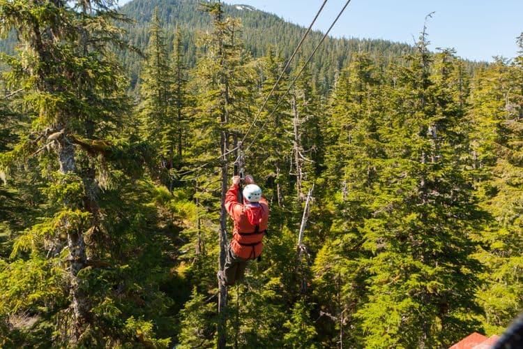 Rainforest Canopy & Zipline Adventure