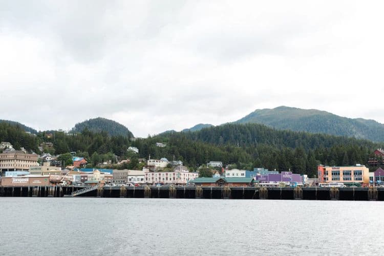Waterfront & Wildlife Cruise