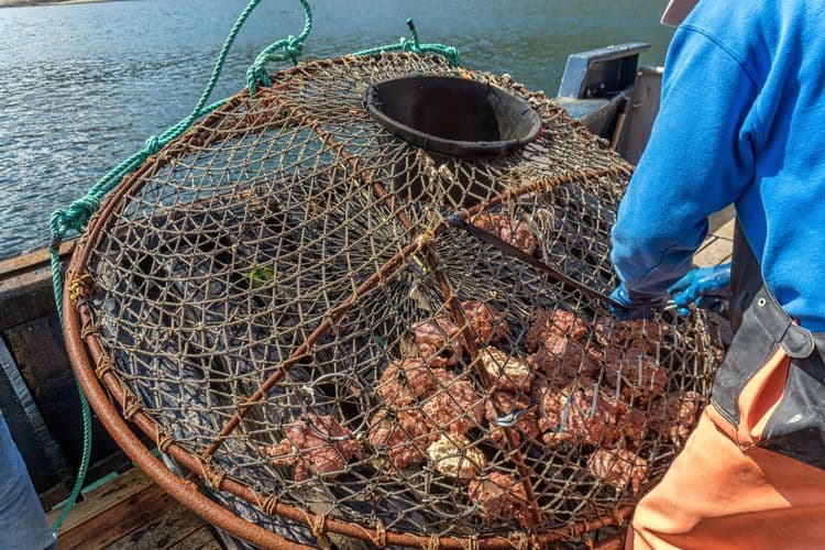 Private Crabbing, Fishing & Exploration