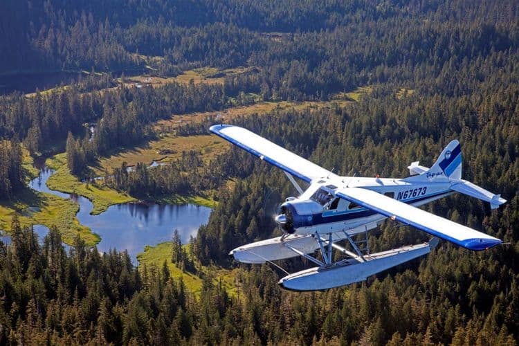 Alaska Bear Adventure & Flightseeing