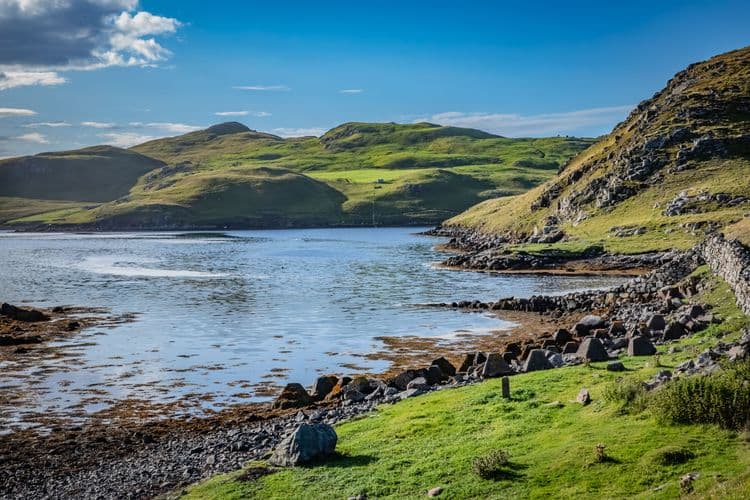 Spectacular Northmavine and Shetland Ponies