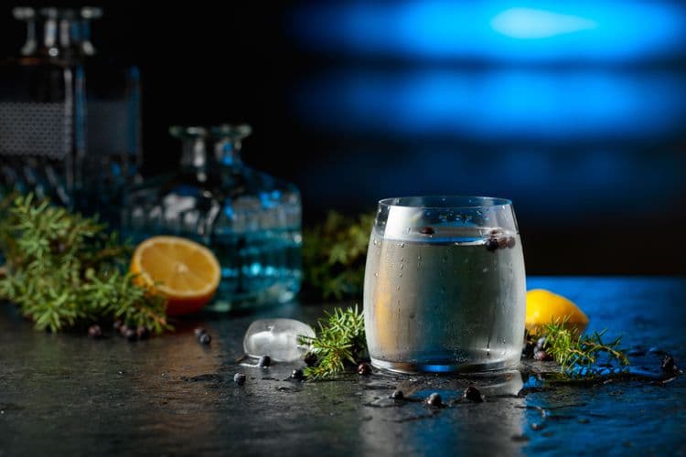 Award Winning Shortcross Gin at Rademon Distillery