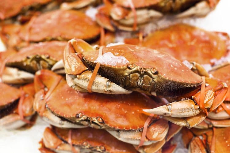 Private Dungeness Crab & Fishing Charter