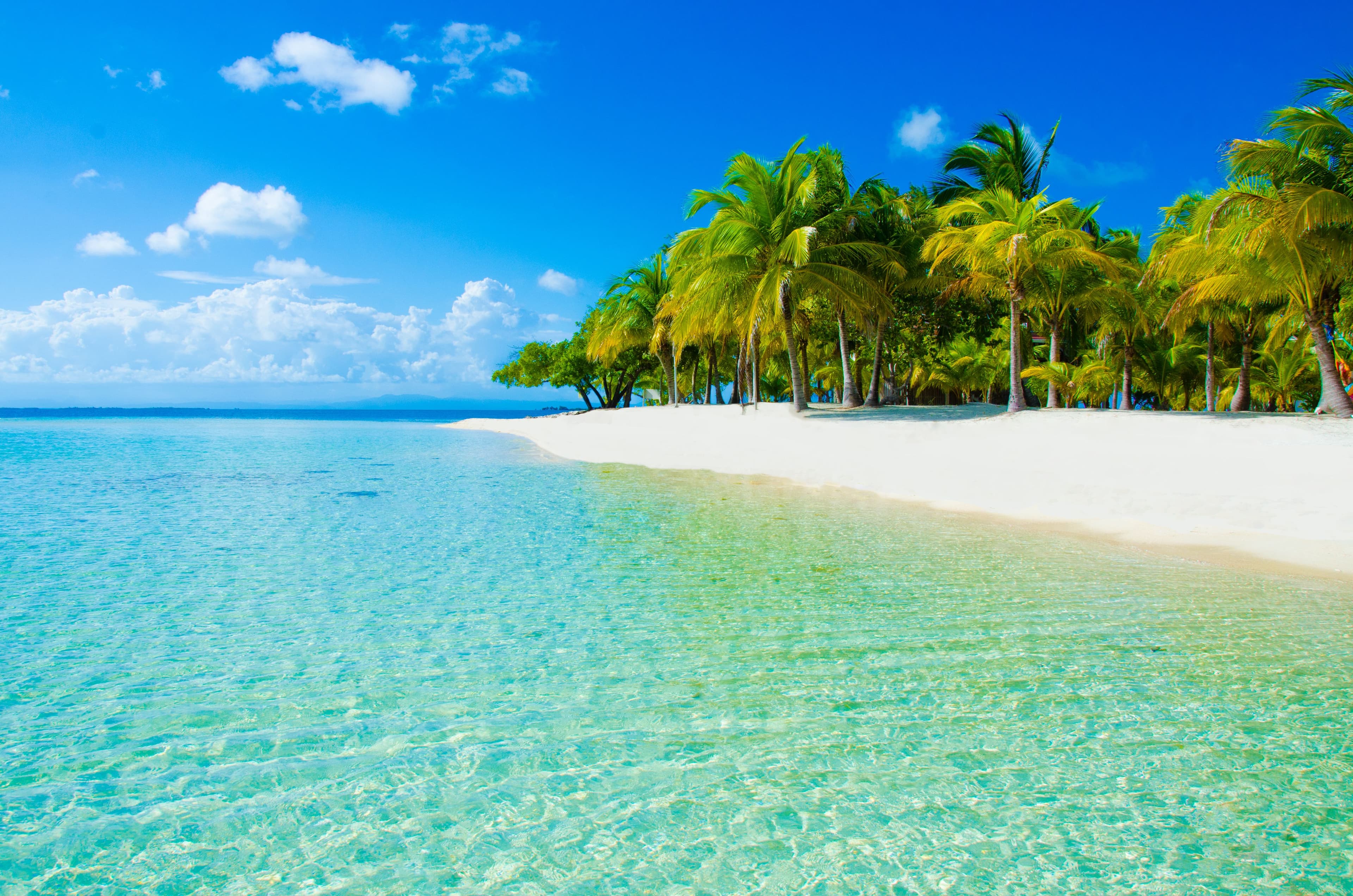 Caribbean