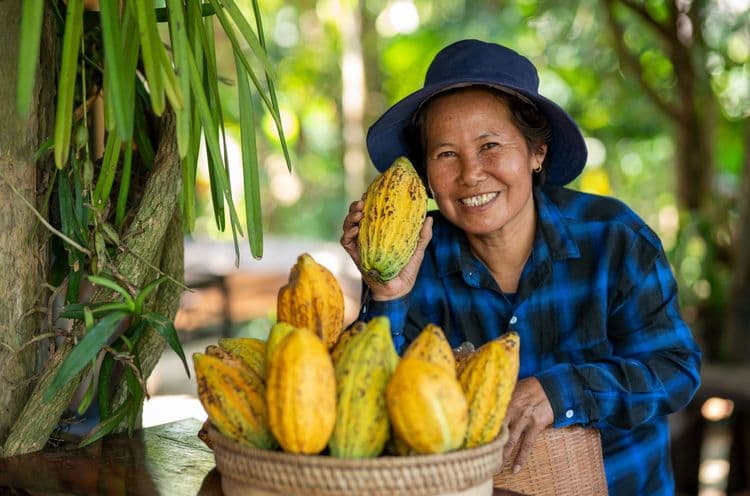 Food of the Gods: Salvadoran Cacao Estate