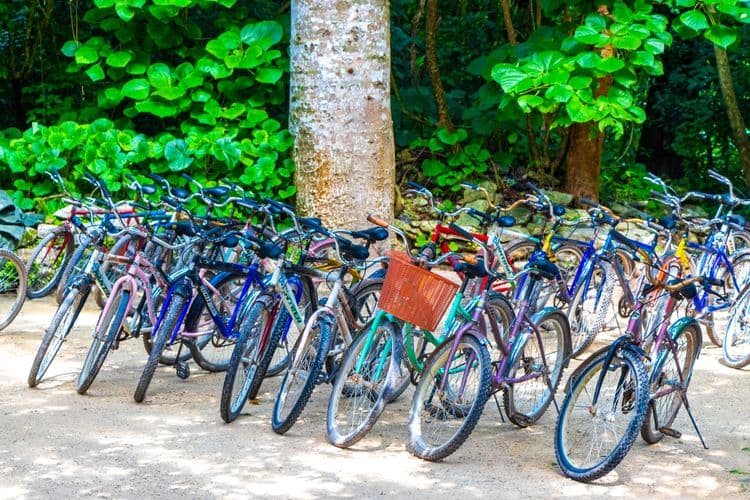 A Mexican Bike Ride