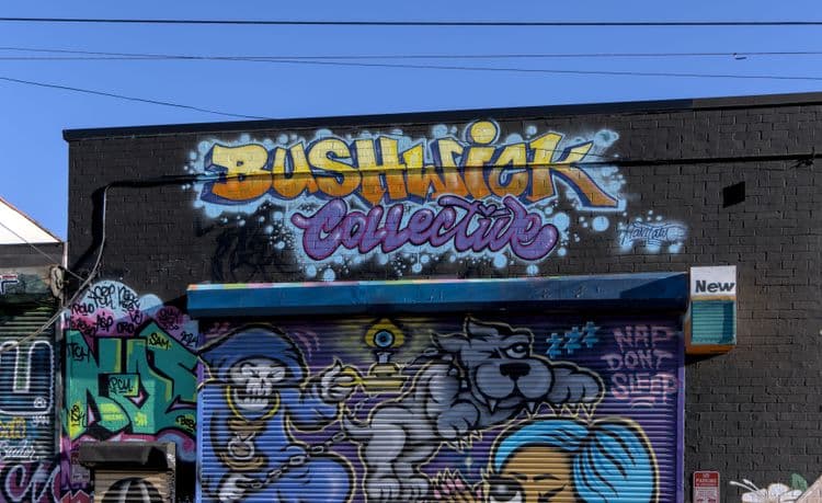 Guided Street Art Walking Exploration in Brooklyn