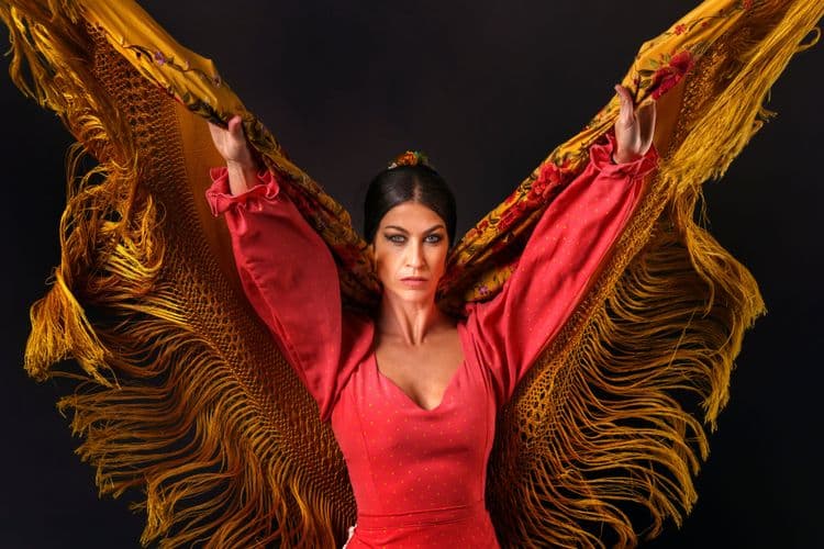 Historic Malaga & Flamenco Fusion Experience